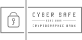 Cyber SRFE